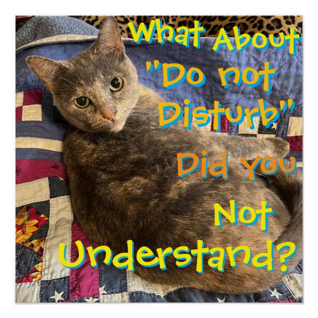 Gato con poster de actitud (Anverso)