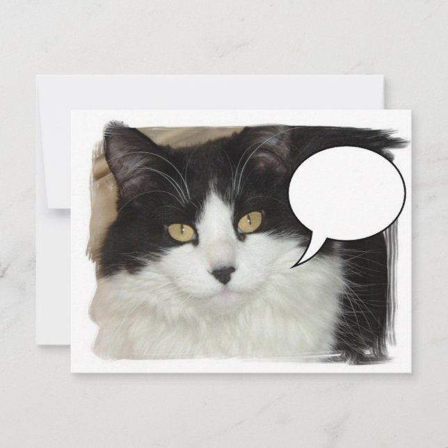 Gato con subtítulos (Anverso)