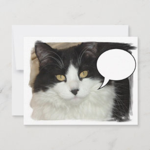 Gato con subtítulos