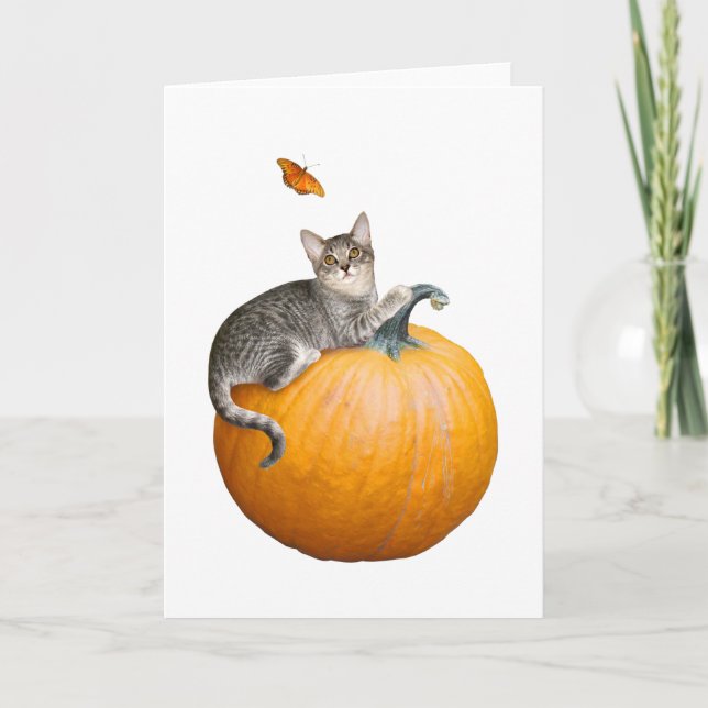 Gato con tarjeta de calabaza y mariposa (Anverso)