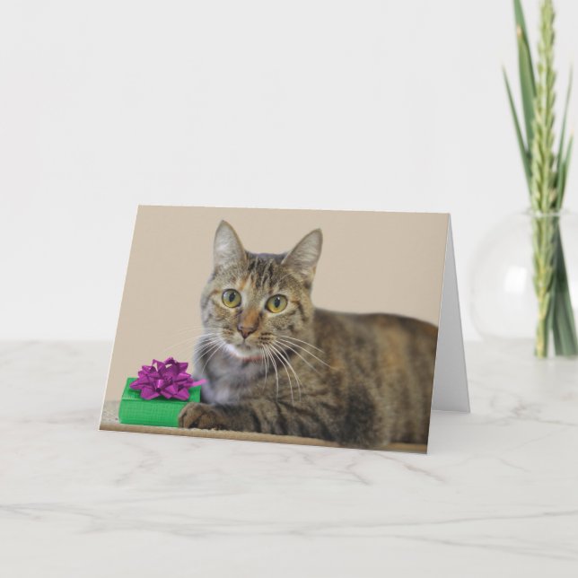 Gato con tarjeta de cumpleaños de regalo (Anverso)