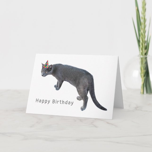 Gato con tarjeta de cumpleaños Gorra Fiesta (Anverso)