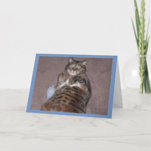 Gato con tarjeta de cumpleaños Tude