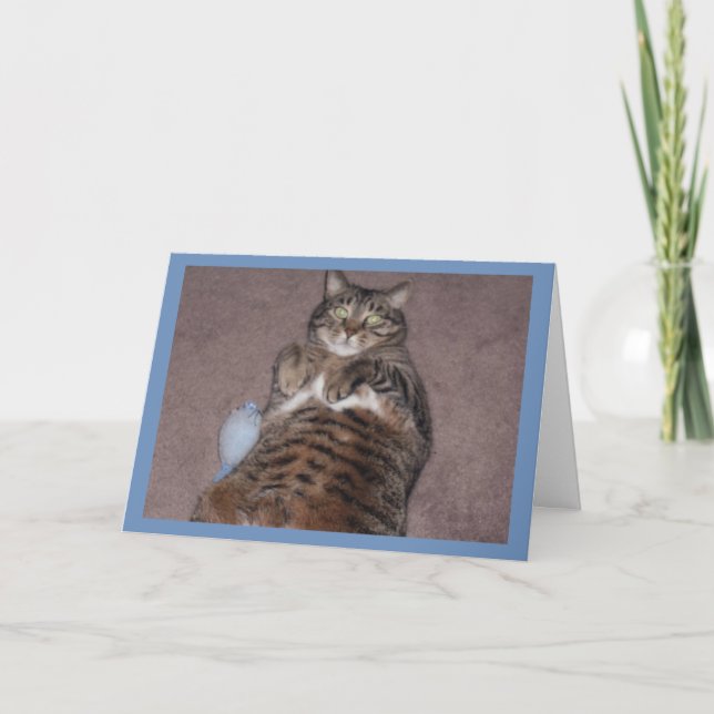 Gato con tarjeta de cumpleaños Tude (Anverso)