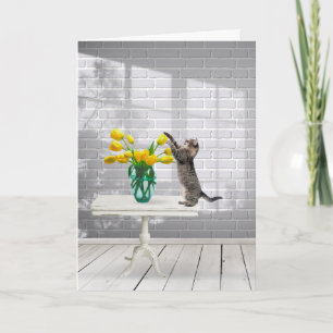 Gato con tarjeta del día de la madre tulipanes ama