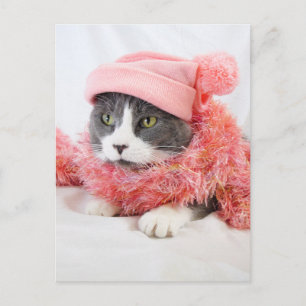 Gato con tarjeta postal Gorra rosa