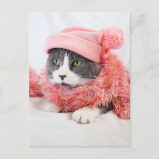 Gato con tarjeta postal Gorra rosa