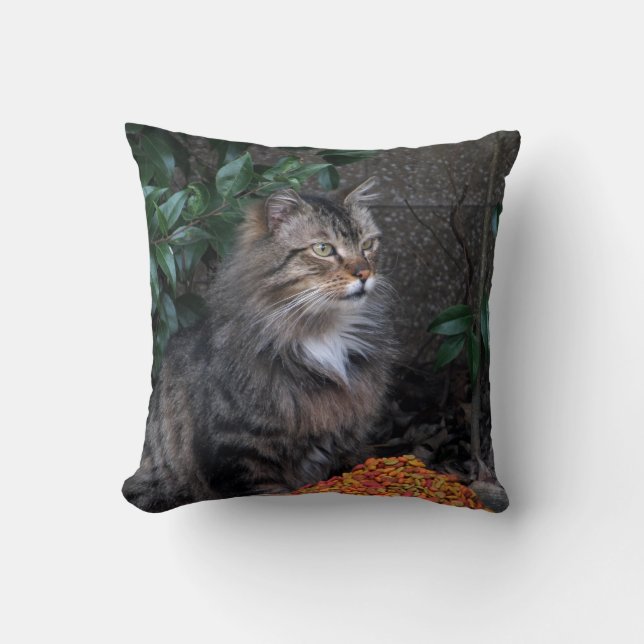 Gato con una almohada agradecida del corazón (Anverso)