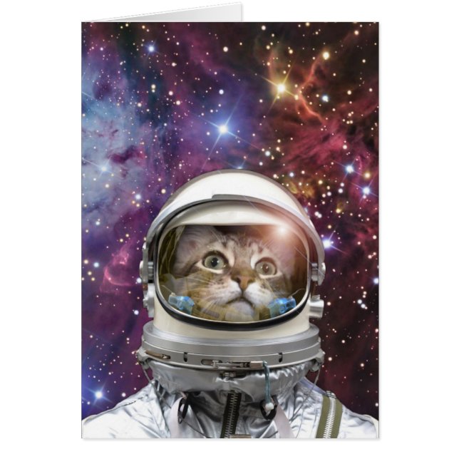 Gato cosmonauta (Frente)