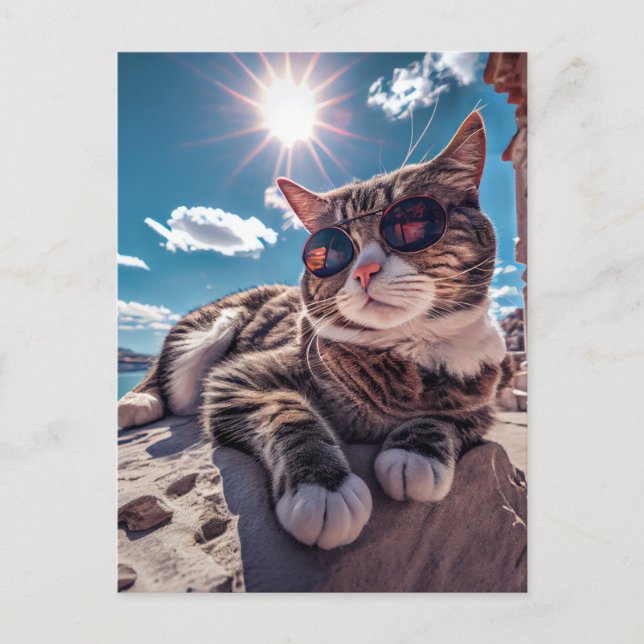 Gato costero con gafas de sol postal (Anverso)
