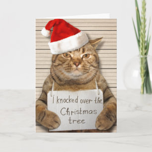 Gato culpable en tarjeta de Navidades de Santa hat