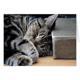 Gato curvado con una buena carta de libros