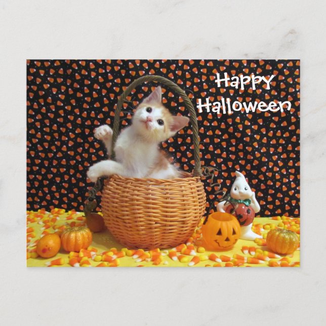 Gato de Annie's Sweet Halloween Cat / Postales de  (Anverso)