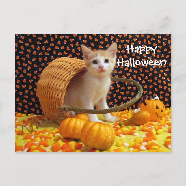 Gato de Annie's Sweet Halloween Cat / Postales de  (Anverso)