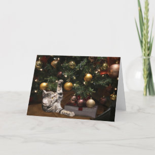Gato de árbol de Navidad