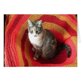 Gato de bienvenida de cumpleaños con tarjeta de cu