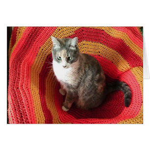 Gato de bienvenida de cumpleaños con tarjeta de cu