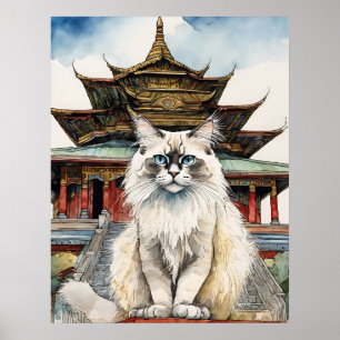 Gato de Birman - Imprimir arte de gato