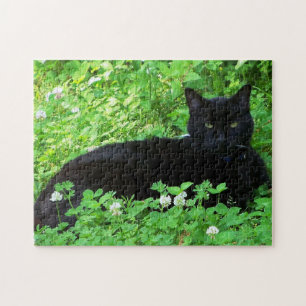 Gato de Bombay yacía en el rompecabezas verde del 