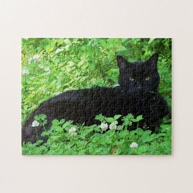 Gato de Bombay yacía en el rompecabezas verde del  (Horizontal)