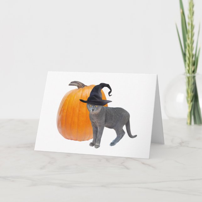 Gato de bruja gris con tarjeta Halloween de calaba (Anverso)