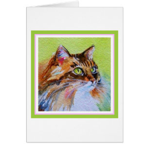 Gato de calicó