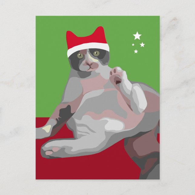 Gato de calicó divertido del navidad en el gorra (Anverso)