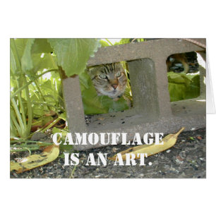Gato de camuflaje