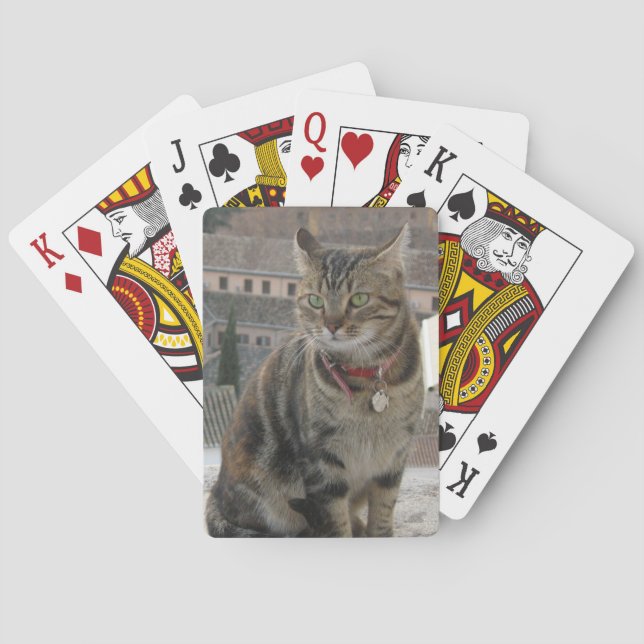 Gato de cartas de reproducción (Reverso)