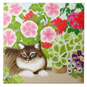 Gato de Coon de Maine en teja del jardín del pati