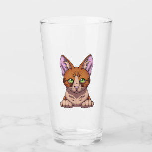 Gato de corte