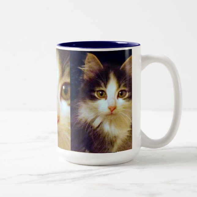 Gato de dos piernas de Anakin, taza linda del (Derecha)