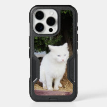 Gato de envenenamiento