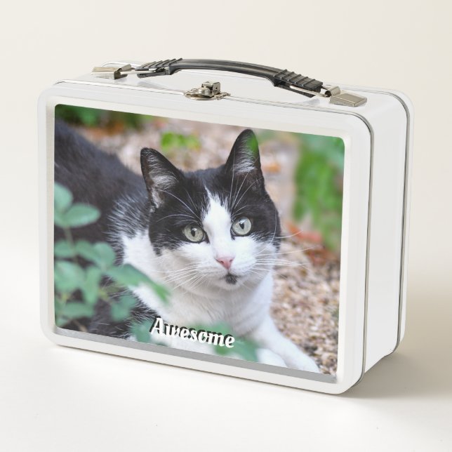 Gato de esmoquin blanco y negro Foto personalizada (Anverso)