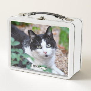 Gato de esmoquin negro y blanco Foto personalizada