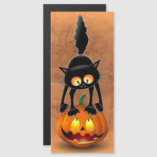 Gato de Halloween asustado Personaje de dibujos an