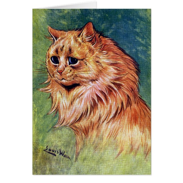 Gato de la mermelada con los ojos azules (Frente)