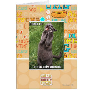 Gato de la ópera