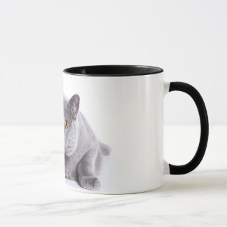 gato de la pizca de la taza