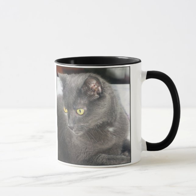Gato de los fisgones en taza profunda del (Derecha)