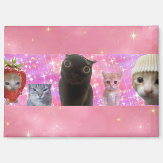 gato de meme etéreo divertido y lindo imán brillan
