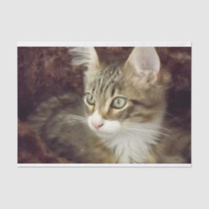 Gato de muebles de artesanía de papel de deshielo