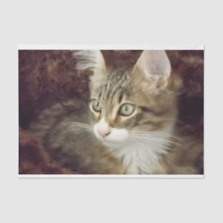 Gato de muebles de artesanía de papel de deshielo