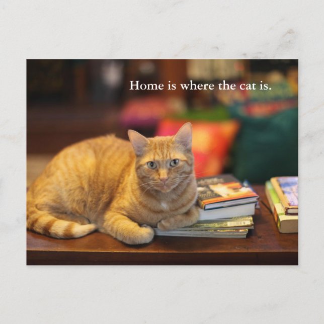 Gato de Naranja de postales (Anverso)
