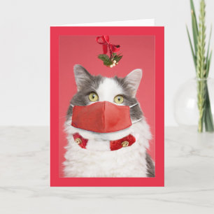 Gato de Navidad con Muérdago y Máscara Facial Humo