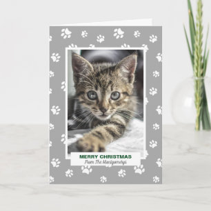 Gato de Navidad Feliz con Huellas de Pata Foto de