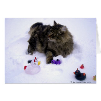 Gato de nieve feroz
