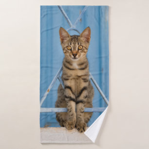 Gato de Nosy Tabby lindo sentado en una cerca azul