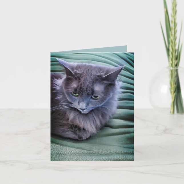 Gato de ojos verdes grises - Tarjeta de saludo ple (Anverso)