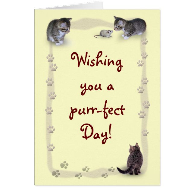 Gato de personalizable (Frente)